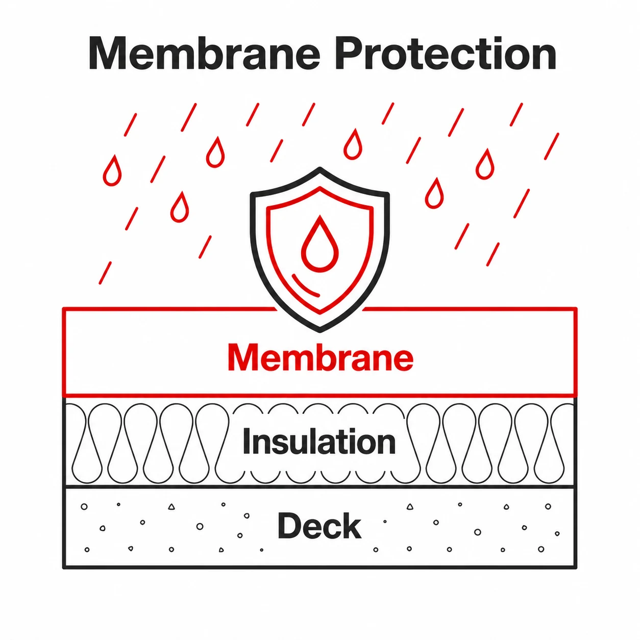 Graphic showing a single ply membrane protecting roof insulation