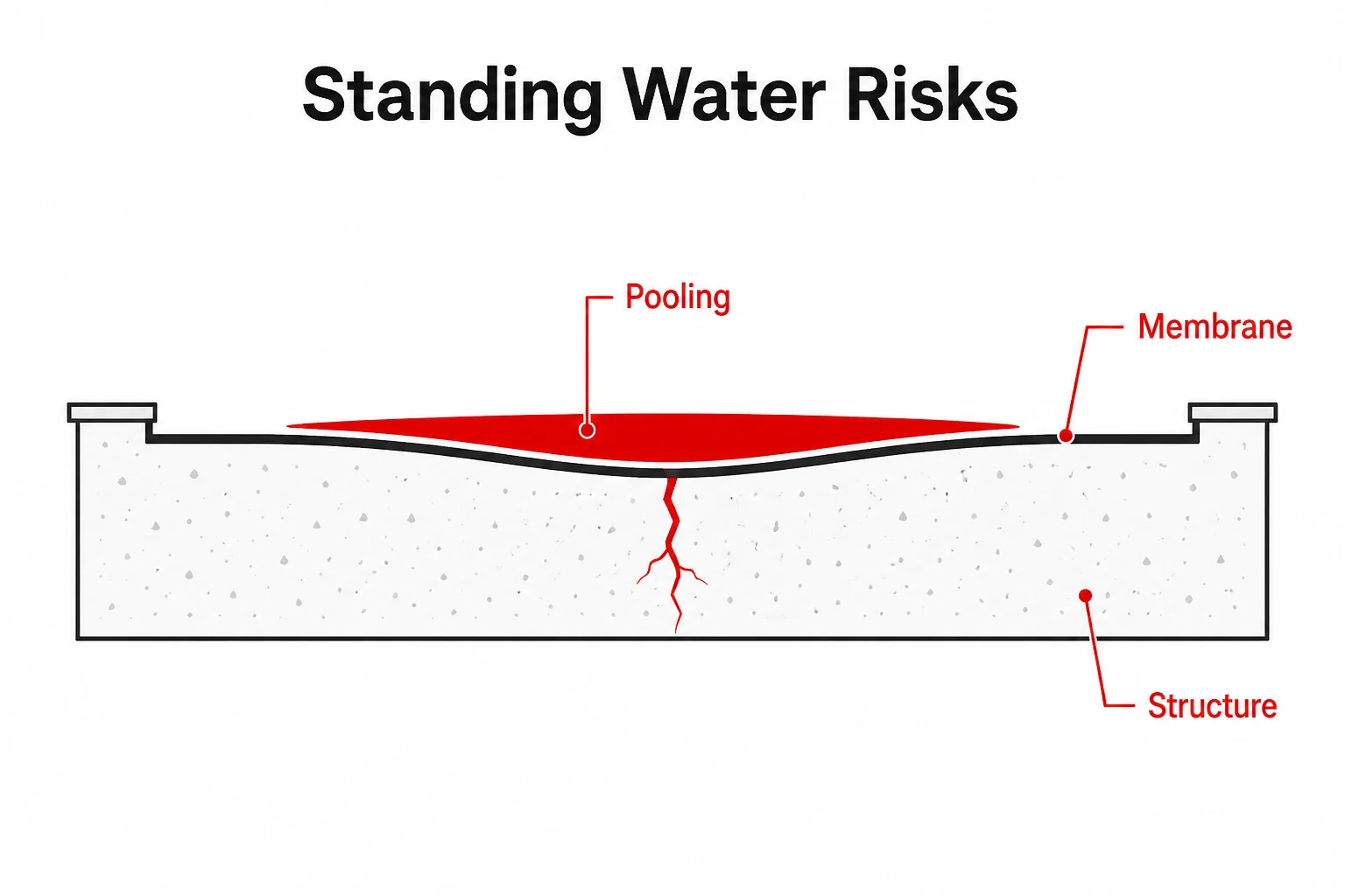 Simple diagram showing standing water above a flat roof membrane and structure.