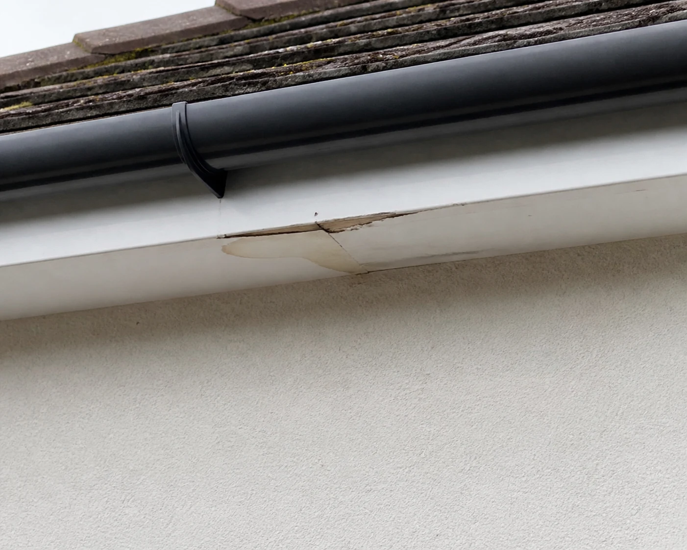 Damaged soffit with damp staining beneath guttering